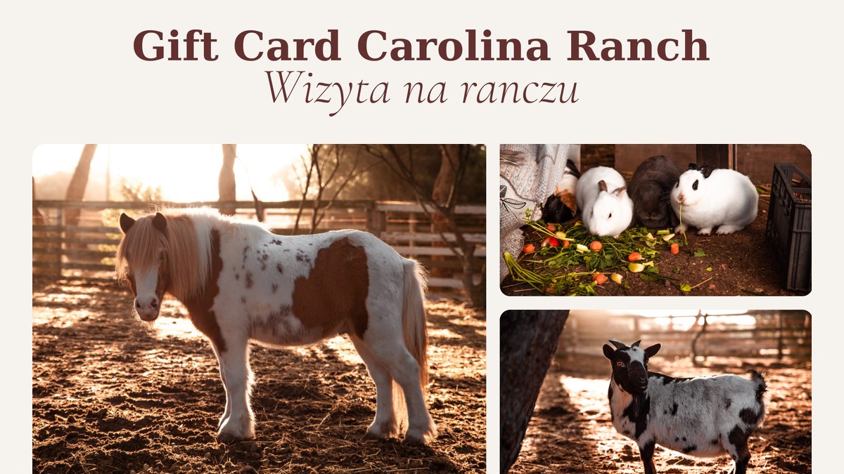 Wizyta na ranczu